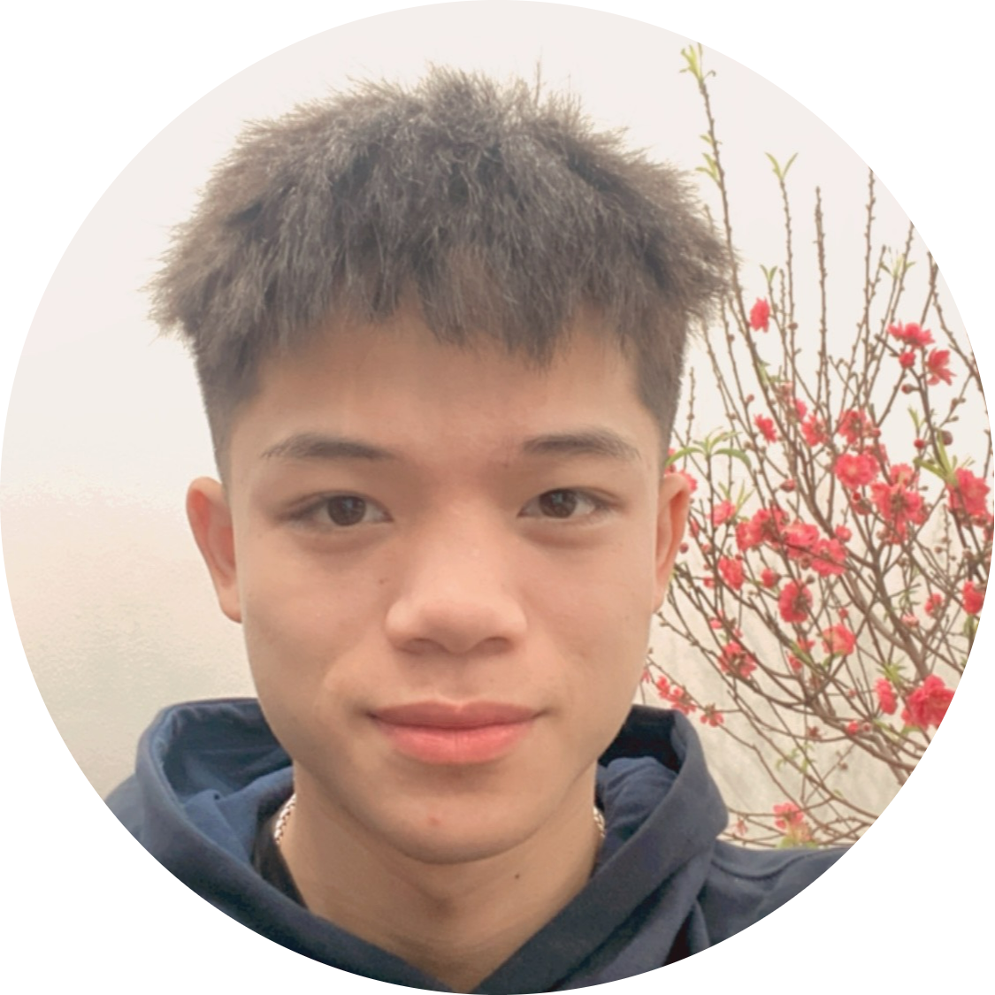 Hình ảnh giới thiệu